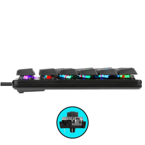SMK-9R RGB FALCONET